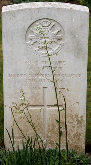 Private Arthur Alfred Scott