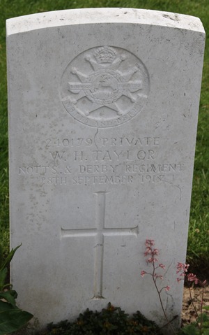 Private W. H. Taylor
