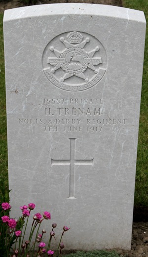 Private Herbert Trenam