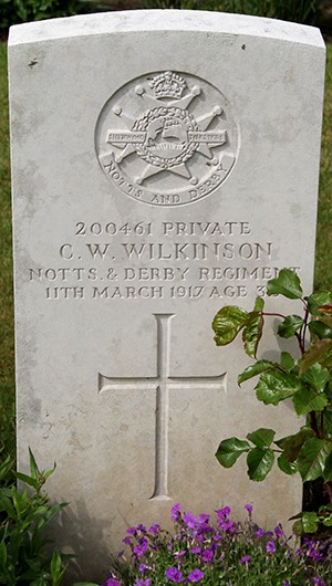 Private C. W. Wilkinson