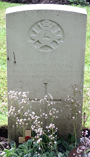 Lieutenant Arthur Montague Williams
