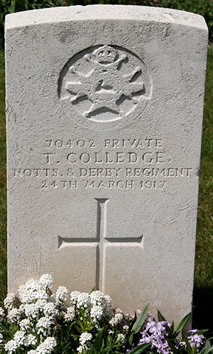 Private Thomas Colledge grave