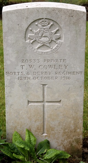 Private Thomas William Cowley grave