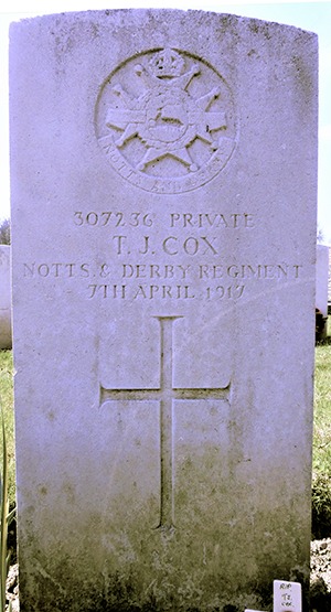 Private Thomas John Cox grave