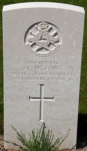 Private Thomas William Cox grave