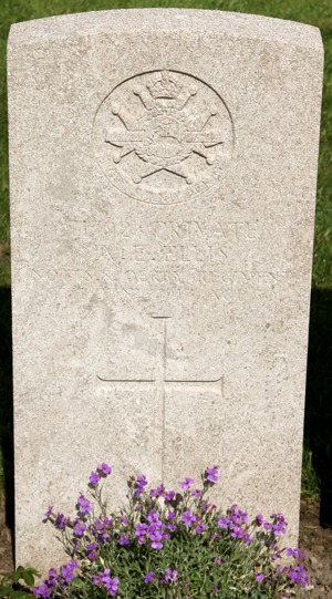 Private Alfred Edward Ellis grave