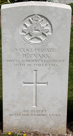 Private David Evans grave