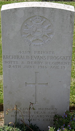 Private Archibald Evans Froggatt grave