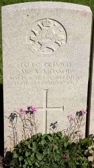 Private William Augustine Mossop grave