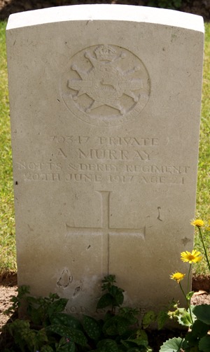 Private Arthur Murray grave